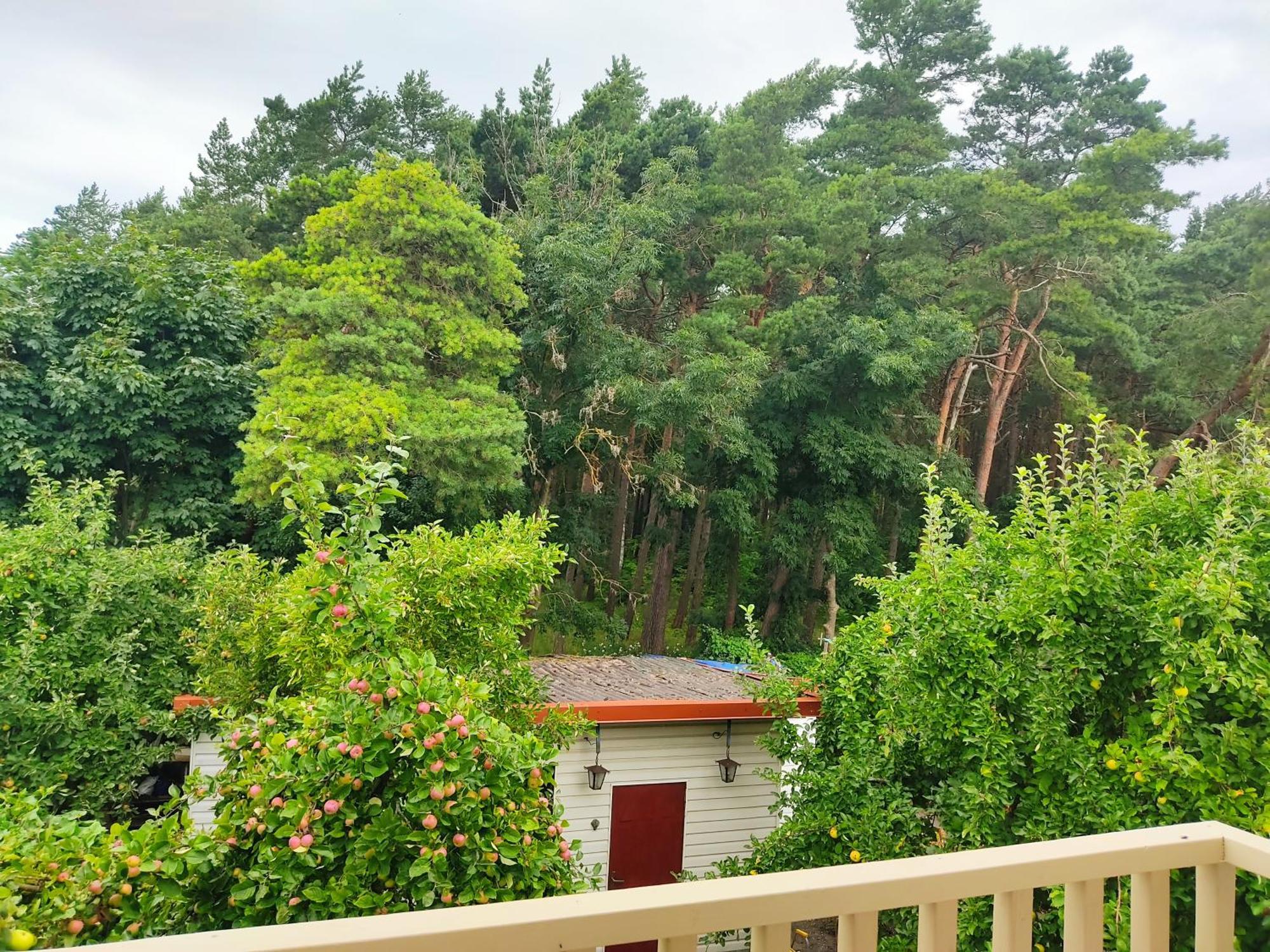 Kopa Cabana Palanga Buitenkant foto